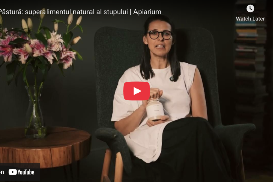 Păstură Apiarium în borcan de sticlă, produs apicol premium, vedere detaliată asupra granulelor naturale fermentate din polen.